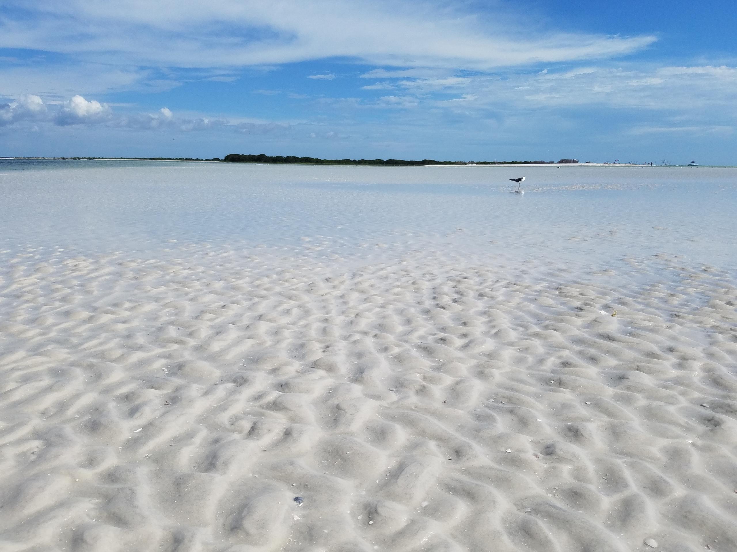 a beach next to water