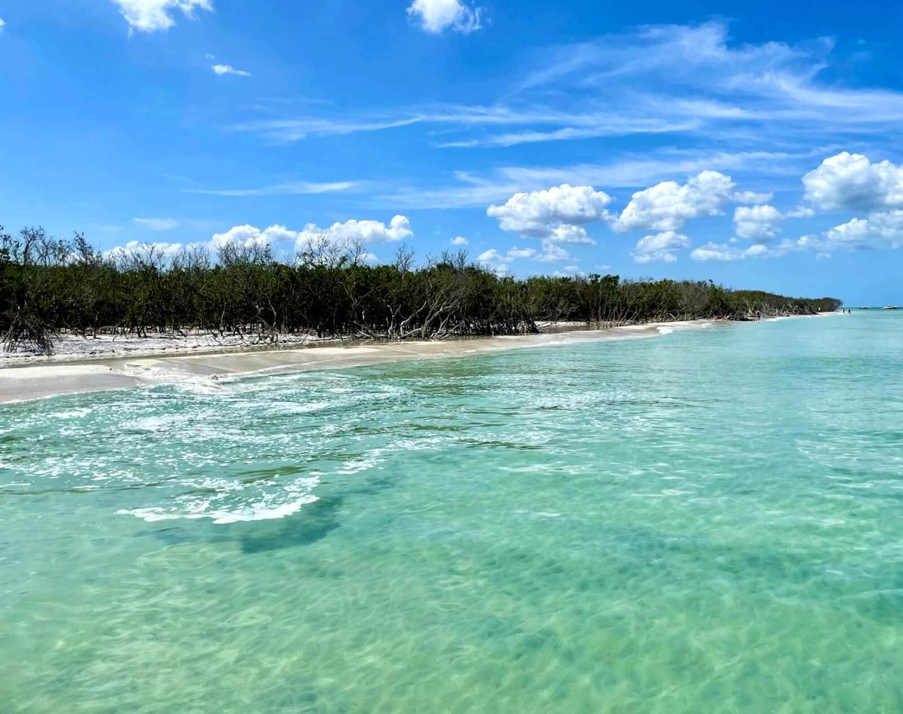 a body of water next to the ocean