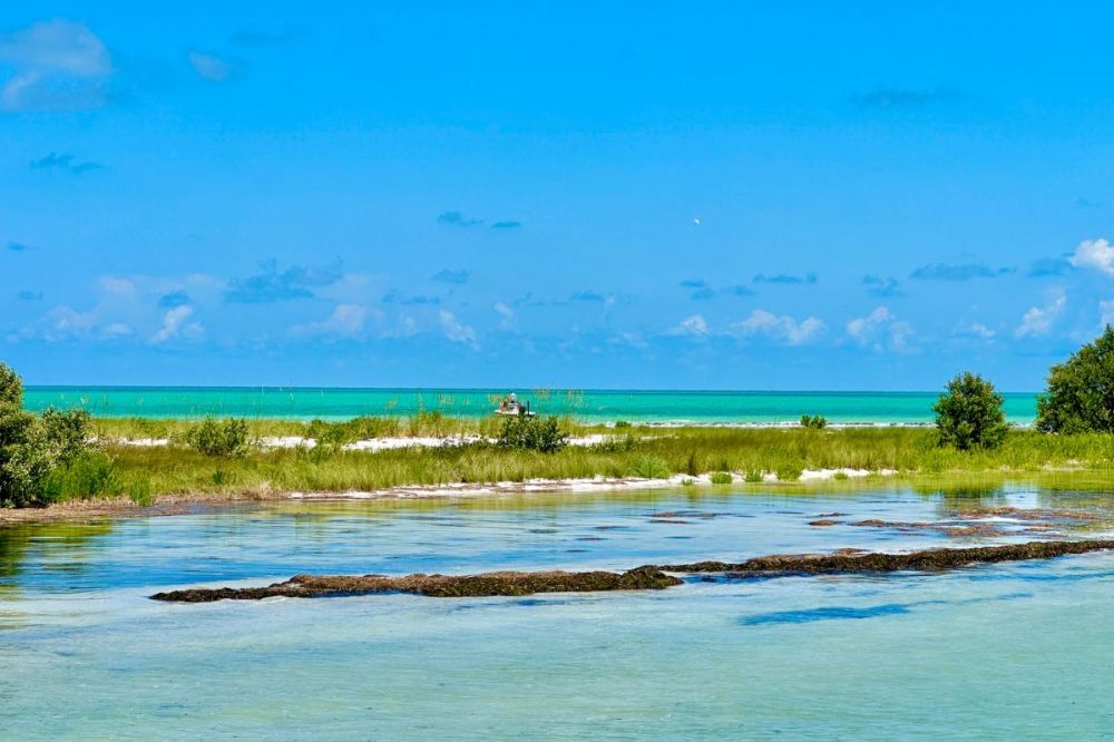 barrier island of the coast of clearwater beach florida