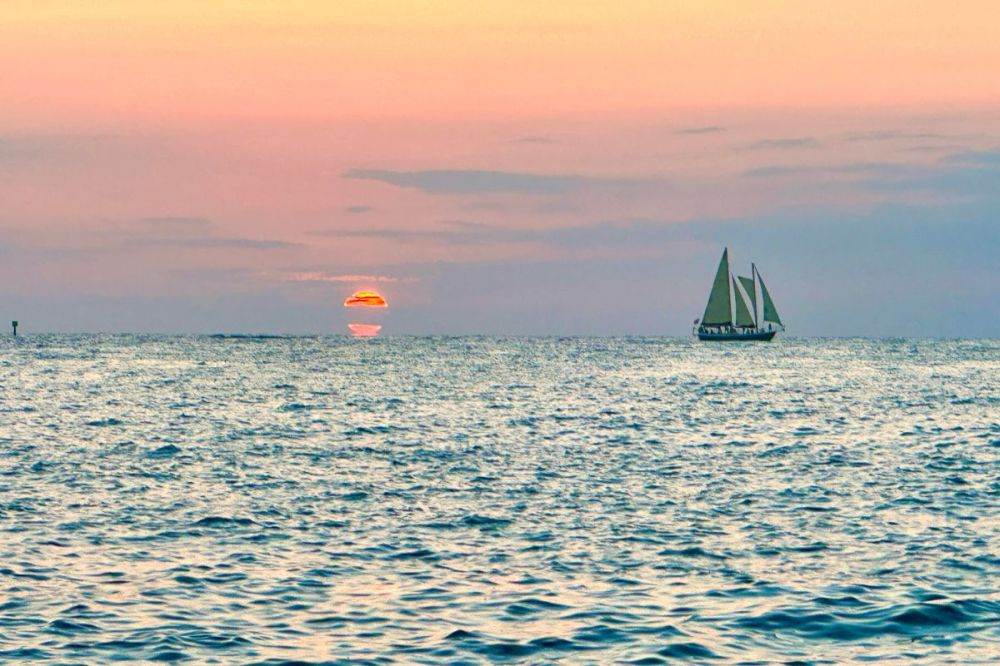 sailboat cruise during sunset near clearwater florida